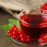 What can be prepared from red viburnum berries, useful properties and contraindications