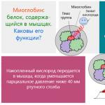 A vér mioglobinkoncentrációjának normái – egészségügyi jelentősége A mioglobin erősebben köti meg az oxigént, mint a hemoglobin