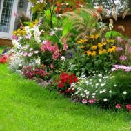 How to make a beautiful flowerbed with your own hands Beautiful inexpensive flowerbeds with your own hands