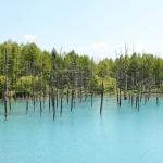 Biei Pond - fantasy in its purest form