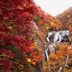 Как создать красивый японский водопад на загородном участке своими руками Водопады японии
