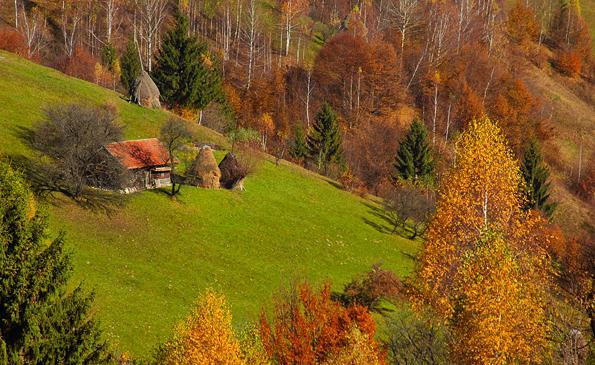 Carpathian սարեր - քարե երկիր