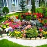 Ծաղկե մահճակալների ձևավորում տնակում. ծաղկի այգի ստեղծելու հիմնական կանոններ և գաղափարներ