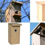 Birdhouse as a work of art: drawings and photos of original projects