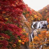 Hur man skapar ett vackert japanskt vattenfall i ett förortsområde med dina egna händer Vattenfall i Japan