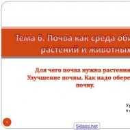 Презентация на тему: Почва как среда обитания Почва как среда обитания живых организмов презентация