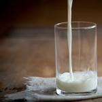 Pečeno mlijeko: koristi, štete, sastav i značajke upotrebe