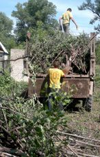 Oczyszczanie terenu z drzew własnymi rękami Oczyść obszar z zarośli