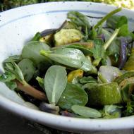 Korisni i jestivi korovi u vrtnoj travi za vitaminske salate