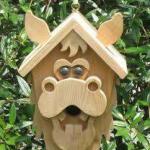 Domek dla ptaków zrób to sam z drewna: rysunki, materiały, wystrój i instalacja Jak zrobić domek dla ptaków w domu