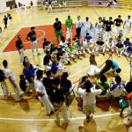 What is capoeira? Beneficial properties of capoeira