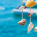 DIY shell crafts for beginners DIY seahorse made from shells
