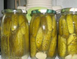 Pickling crispy cucumbers for the winter with oak leaves