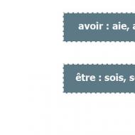 Imperative mood (Impératif) Conditional mood in French examples