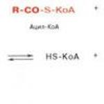 Sequence of beta oxidation reactions