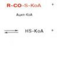 Slijed reakcija beta oksidacije