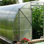 Do-it-yourself winter greenhouse: the best tips from skilled summer residents