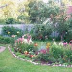 Mixborder of shrubs and perennials: rules for composing compositions with your own hands Schemes of a mixborder and woody composition