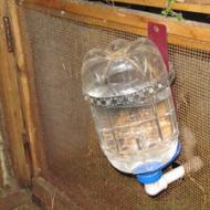 Do-it-yourself drinking bowl for chickens - photos, videos, diagrams and drawings