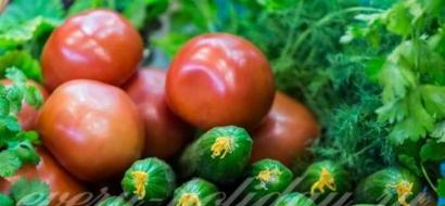 De mest utsökta olika tomaterna och gurkorna för vintern