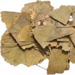 Leaves of ginkgo biloba from high blood pressure