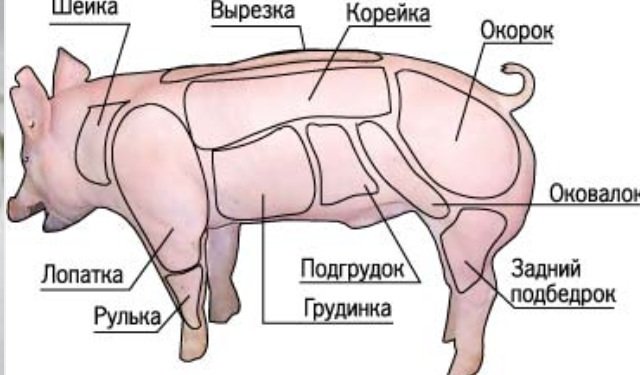 Лопатка свиная схема разделки