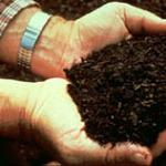 All about compost. What is compost
