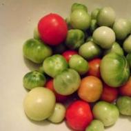 صلصة الطماطم الخضراء لفصل الشتاء - وصفة لذيذة مع الطهي خطوة بخطوة في المنزل